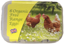 ORGANIC FREE RANGE EGGS 6'S PACK