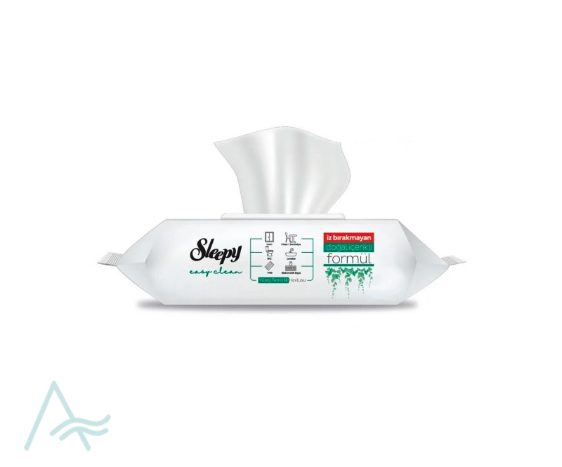 DLEEPY EASY CLEAN SOAP 100 S